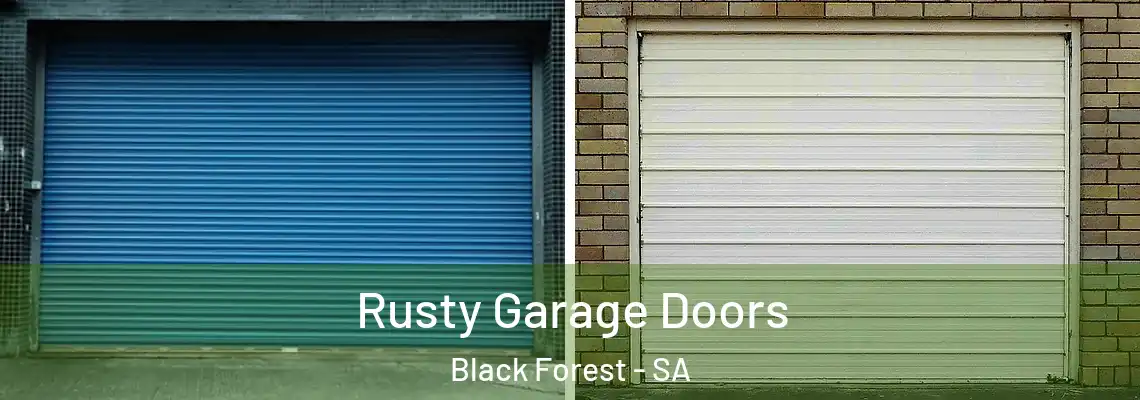  Rusty Garage Doors Black Forest - SA