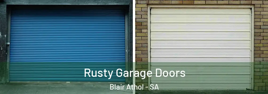  Rusty Garage Doors Blair Athol - SA
