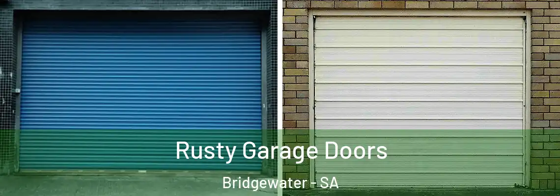  Rusty Garage Doors Bridgewater - SA
