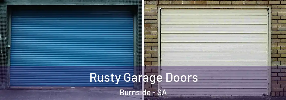  Rusty Garage Doors Burnside - SA