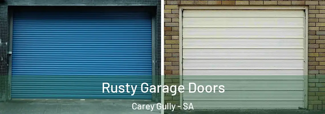  Rusty Garage Doors Carey Gully - SA