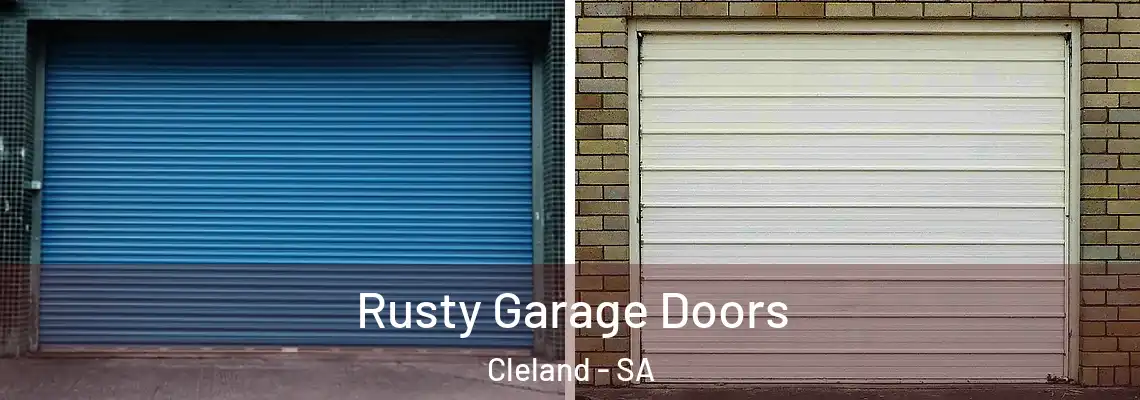  Rusty Garage Doors Cleland - SA