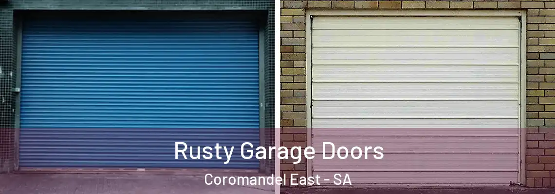  Rusty Garage Doors Coromandel East - SA