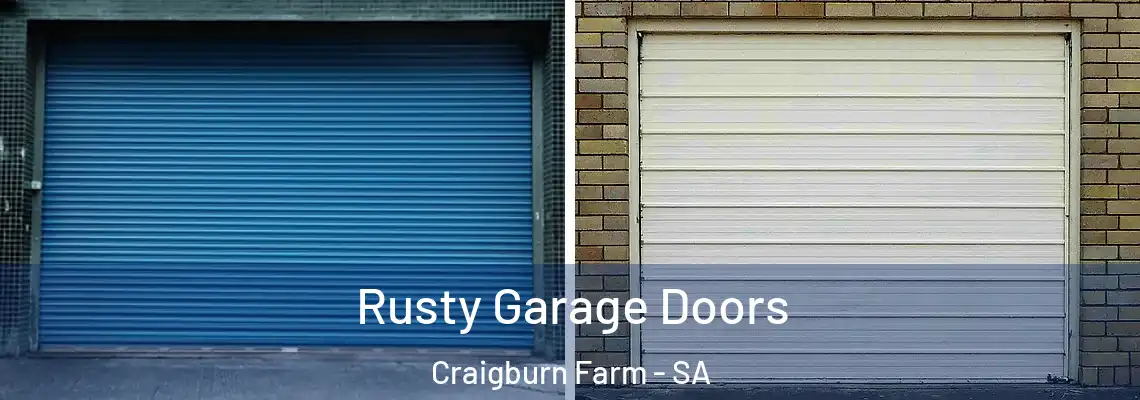  Rusty Garage Doors Craigburn Farm - SA
