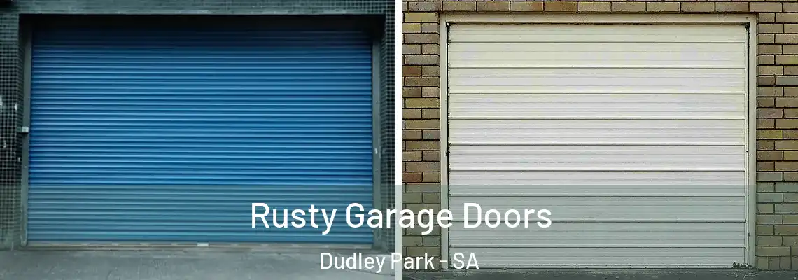  Rusty Garage Doors Dudley Park - SA