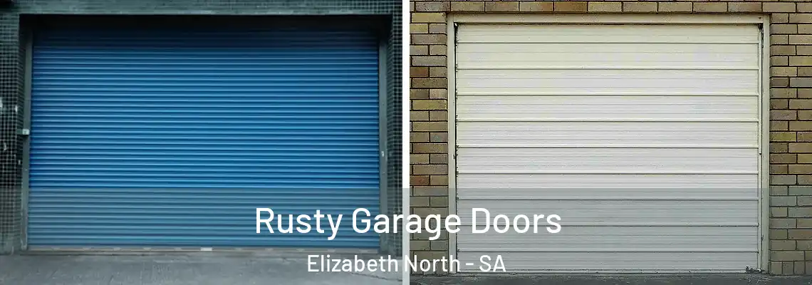 Rusty Garage Doors Elizabeth North - SA