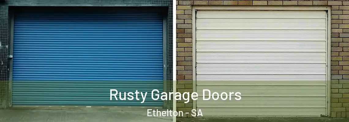  Rusty Garage Doors Ethelton - SA