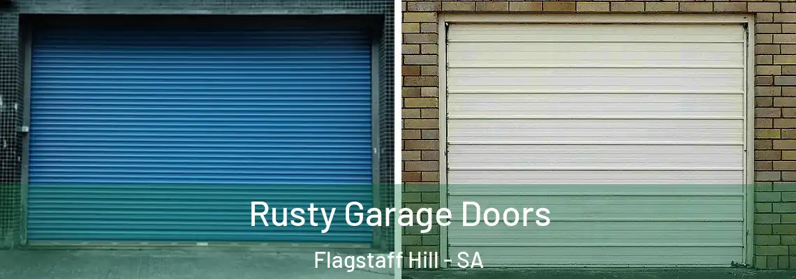  Rusty Garage Doors Flagstaff Hill - SA
