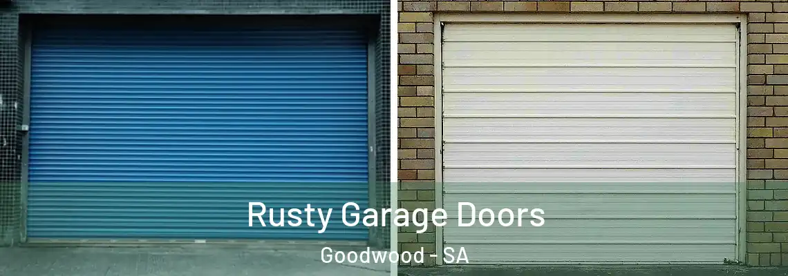  Rusty Garage Doors Goodwood - SA