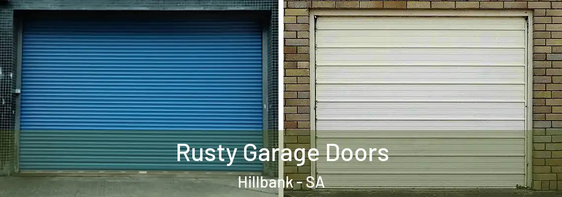  Rusty Garage Doors Hillbank - SA