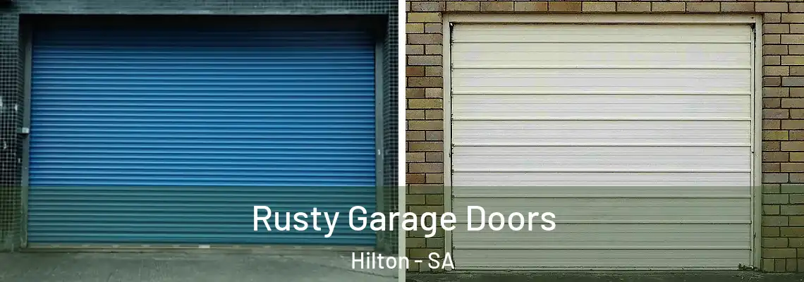  Rusty Garage Doors Hilton - SA