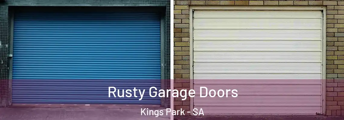  Rusty Garage Doors Kings Park - SA