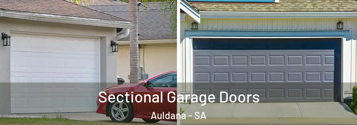  Sectional Garage Doors Auldana - SA