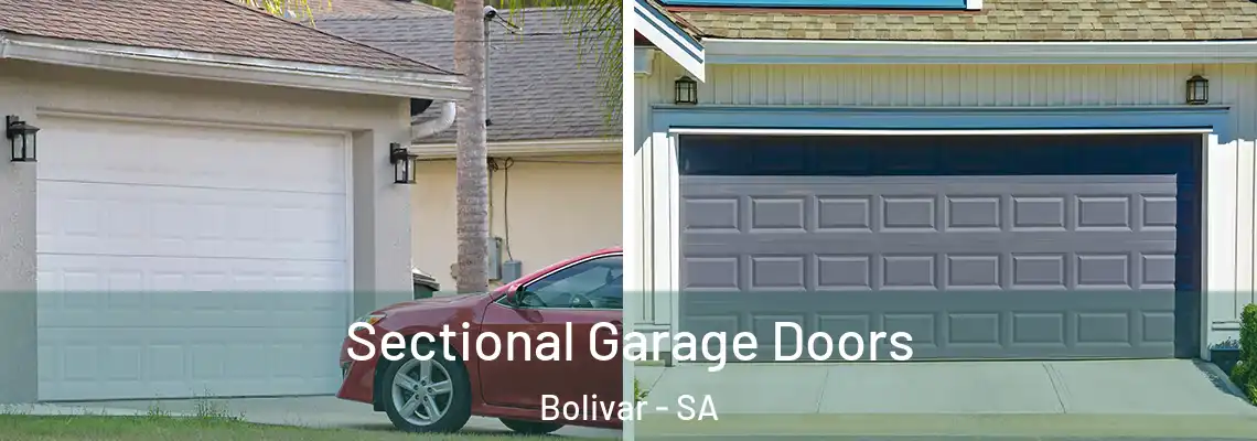  Sectional Garage Doors Bolivar - SA