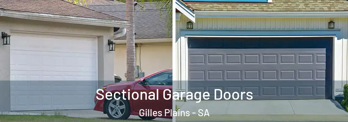  Sectional Garage Doors Gilles Plains - SA