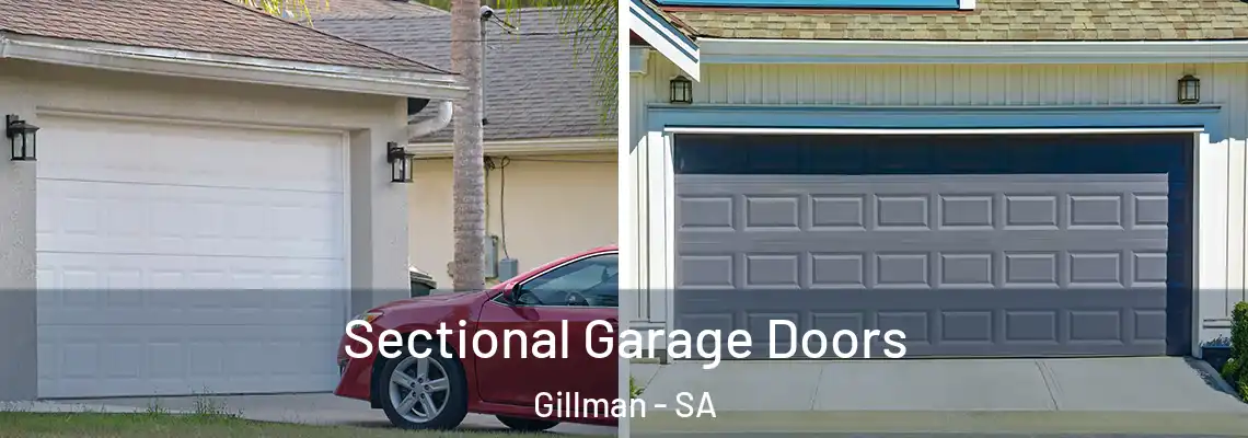  Sectional Garage Doors Gillman - SA