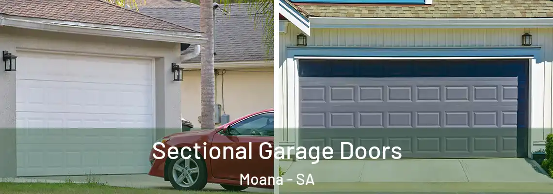  Sectional Garage Doors Moana - SA