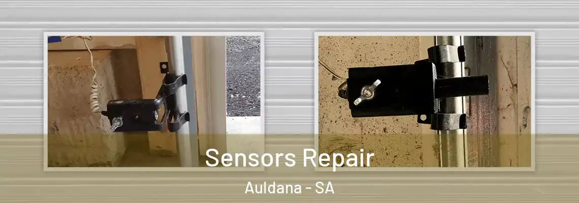 Sensors Repair Auldana - SA