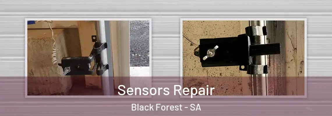  Sensors Repair Black Forest - SA