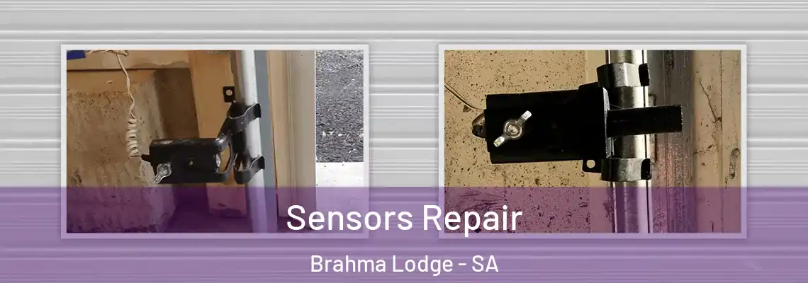  Sensors Repair Brahma Lodge - SA