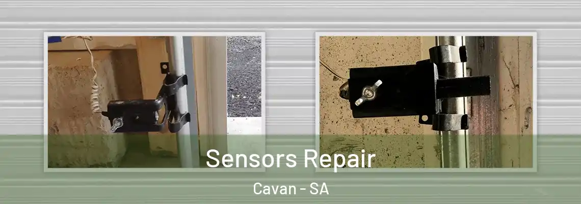  Sensors Repair Cavan - SA