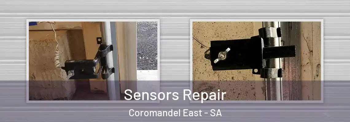  Sensors Repair Coromandel East - SA