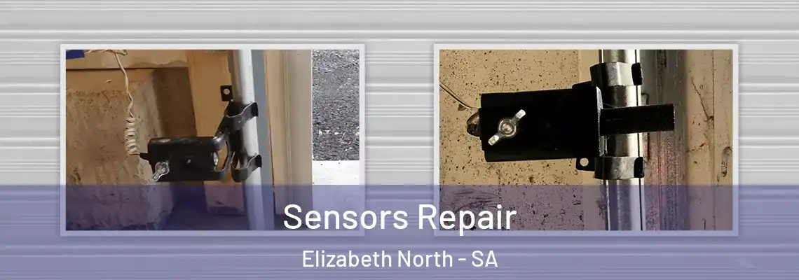  Sensors Repair Elizabeth North - SA