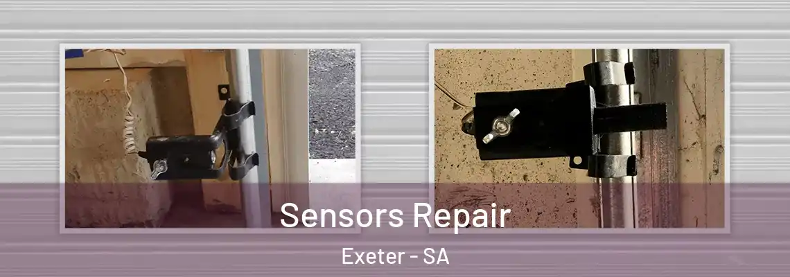  Sensors Repair Exeter - SA