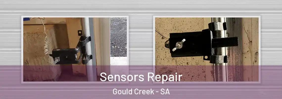  Sensors Repair Gould Creek - SA