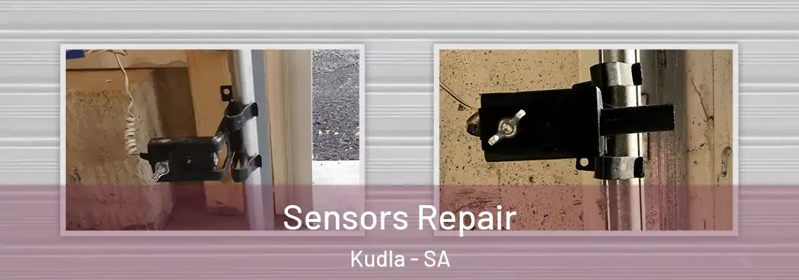  Sensors Repair Kudla - SA
